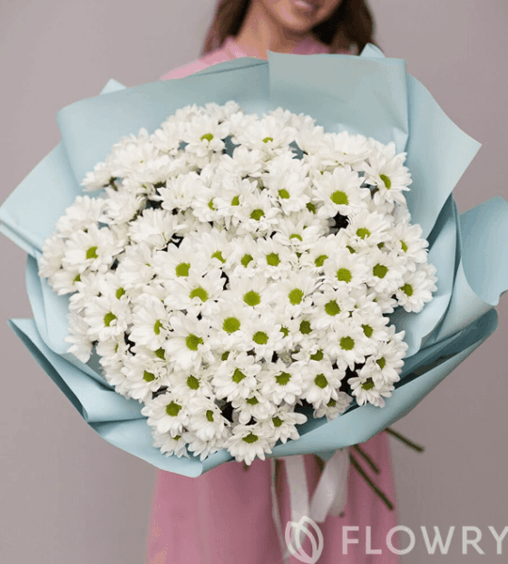 25 хризантем