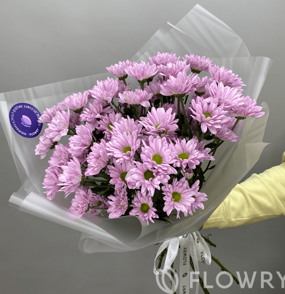 11 хризантем