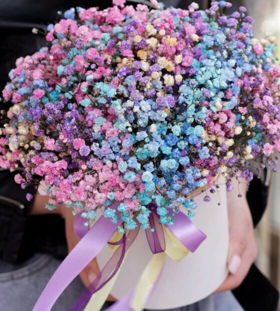 гипсофилы в коробке