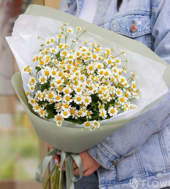 ромашки букет