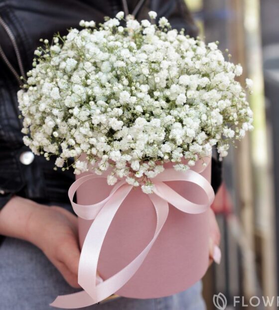 гипсофила в коробке