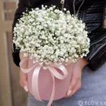 гипсофила в коробке
