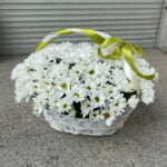 хризантема в корзине