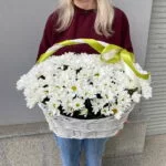 хризантема в корзине