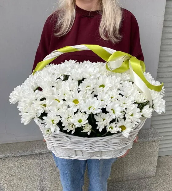 хризантема в корзине