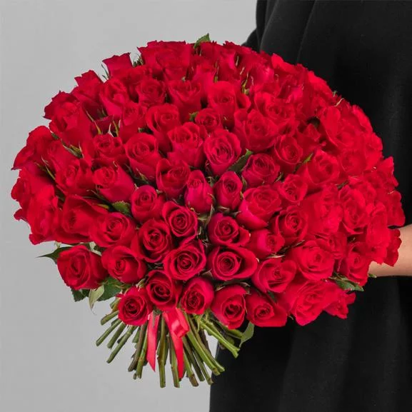 101-roza-kenya-red2 101 красная роза кения