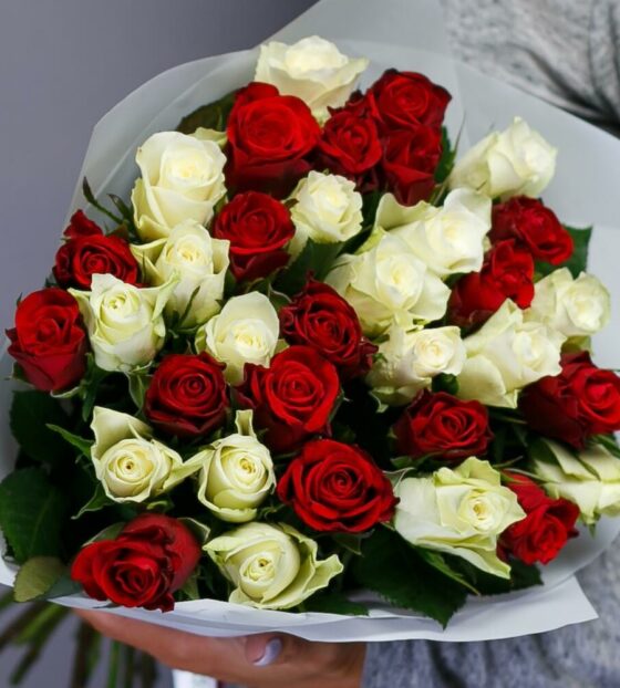 35 красных и белых роз