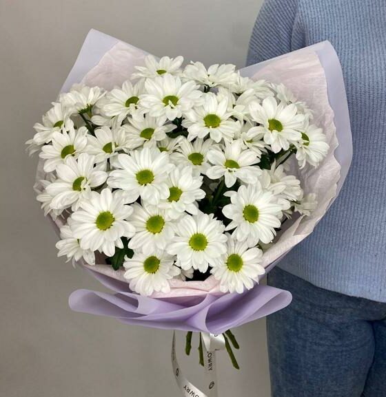 5 хризантем