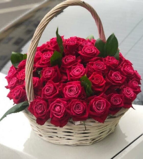 51 малиновая роза в корзине