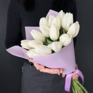 белые тюльпаны