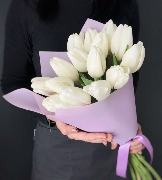 белые тюльпаны