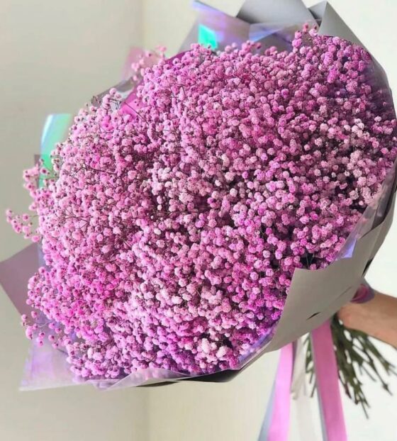 букет из розовой гипфосилы