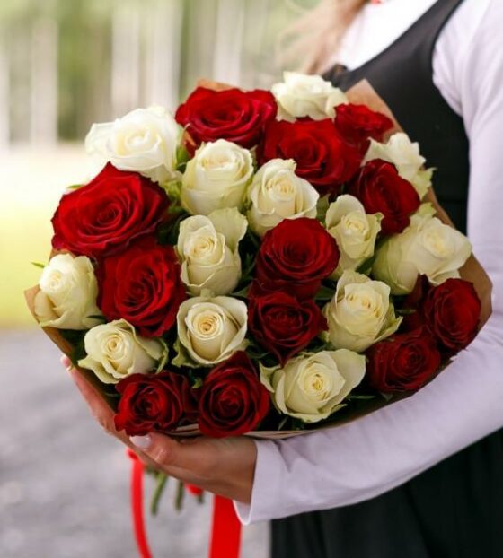 25 красных и белых роз