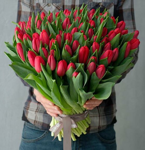 101 красный тюльпан