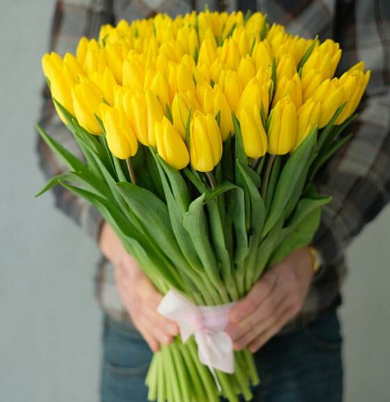 101 тюльпан желтый