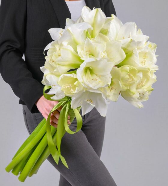 букет амариллисов