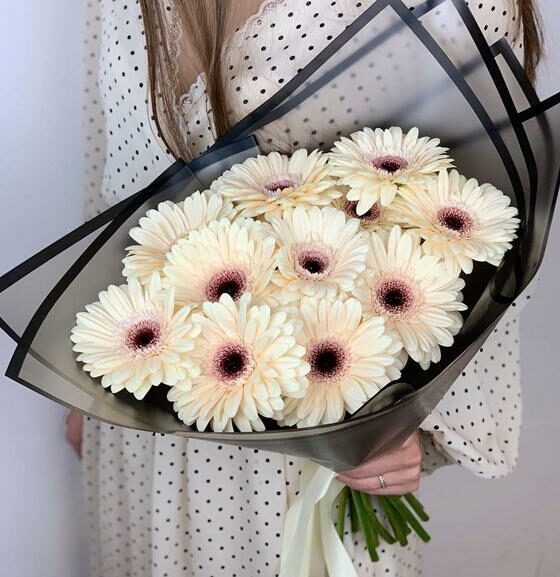 герберы букет