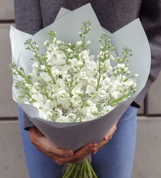 букет из маттиолы