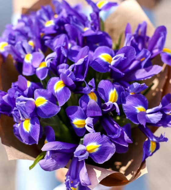 букет из ирисов