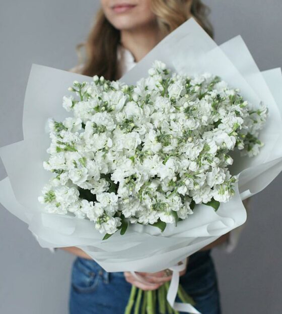 маттиола белая