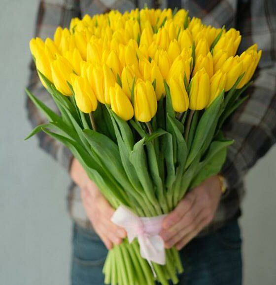 желтые тюльпаны