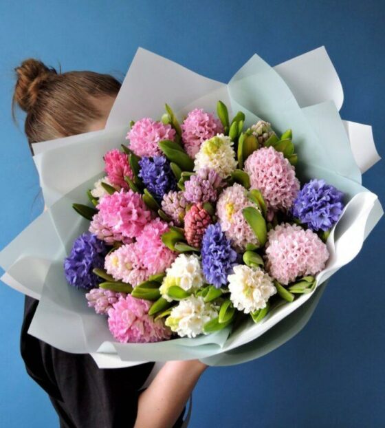 гиацинты микс