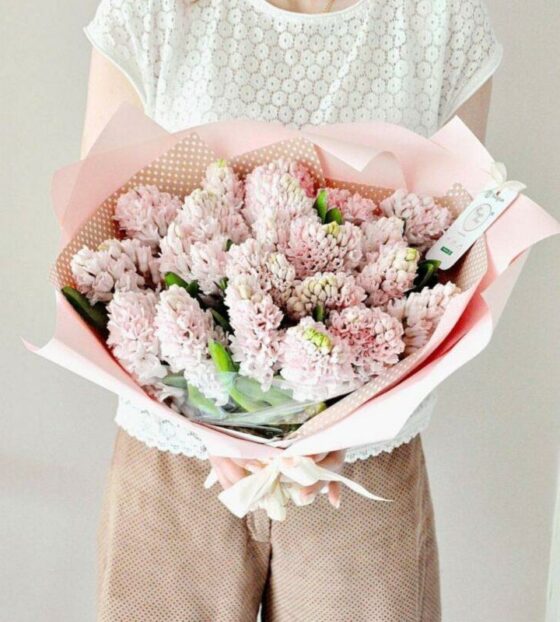 розовые гиацинты