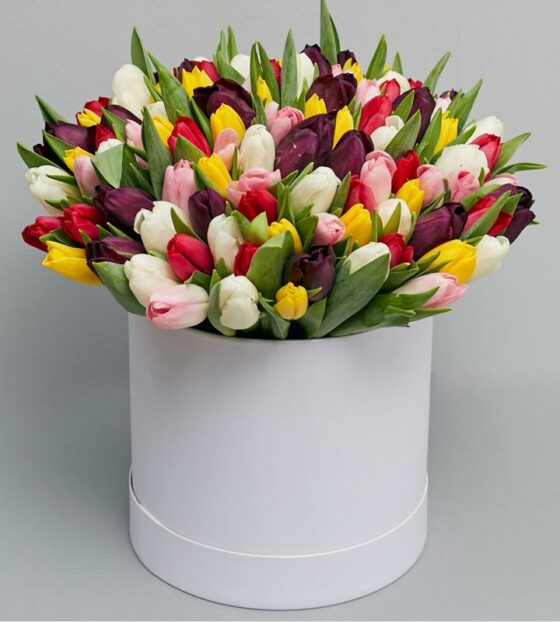 101 тюльпан в шляпной коробке