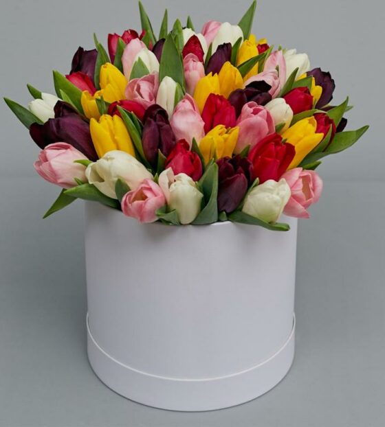 51 тюльпан в коробке