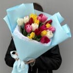 25 тюльпанов микс Премиум