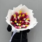 51 тюльпан микс Премиум — изображение 2