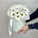 хризантема в коробке