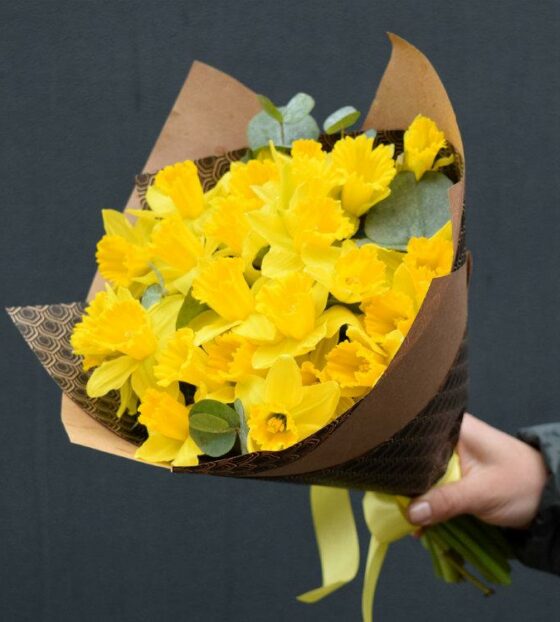 желтые нарциссы букет