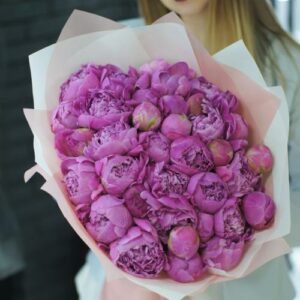 35 розовых пионов букет