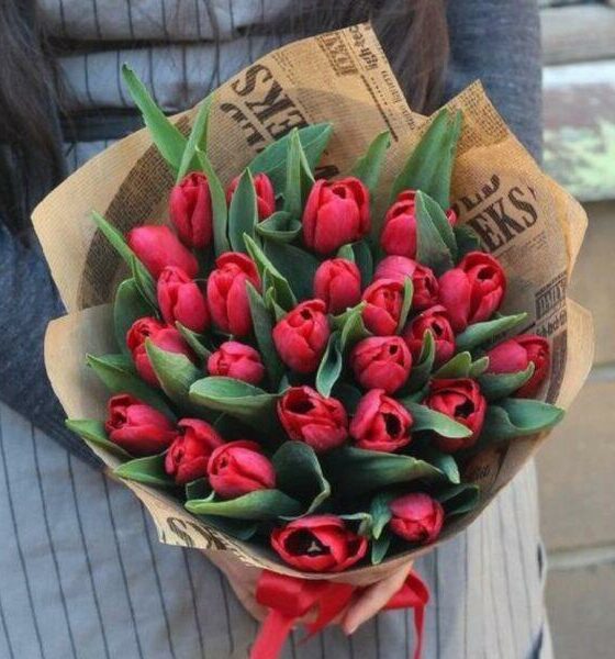 25 красных тюльпанов