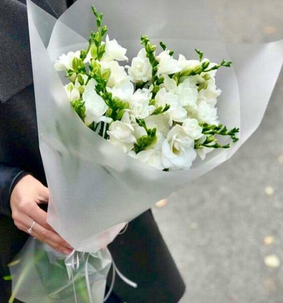 белая фрезия букет