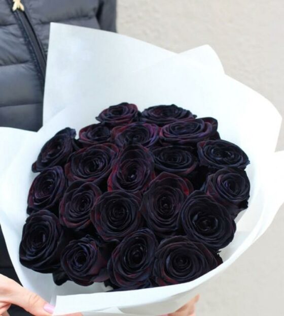 черные розы