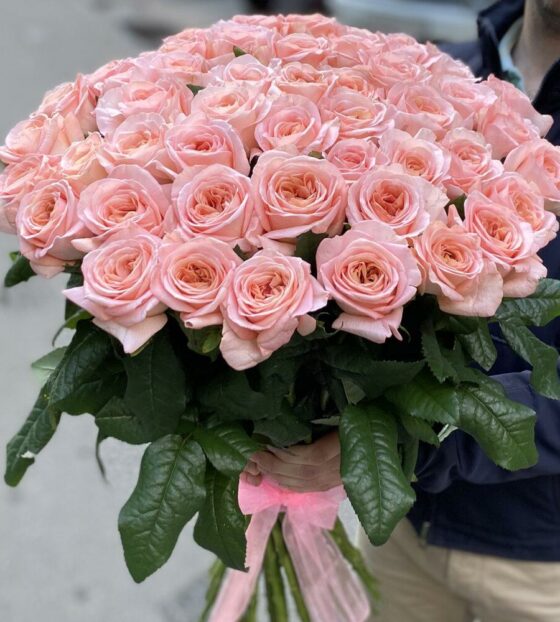 пионовидные розы 51 шт