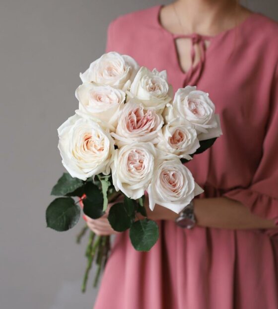 пионовидная роза вайт охара