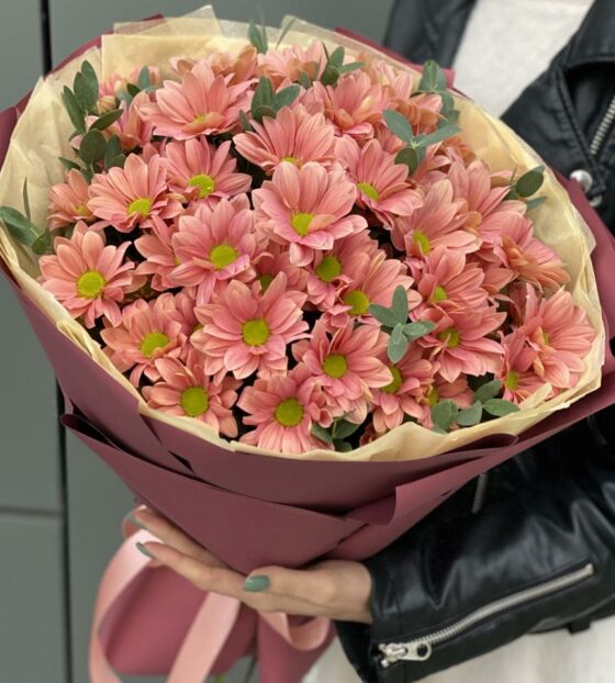 персиковые хризантемы