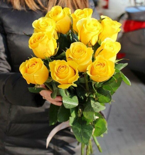 11 желтых роз эквадор