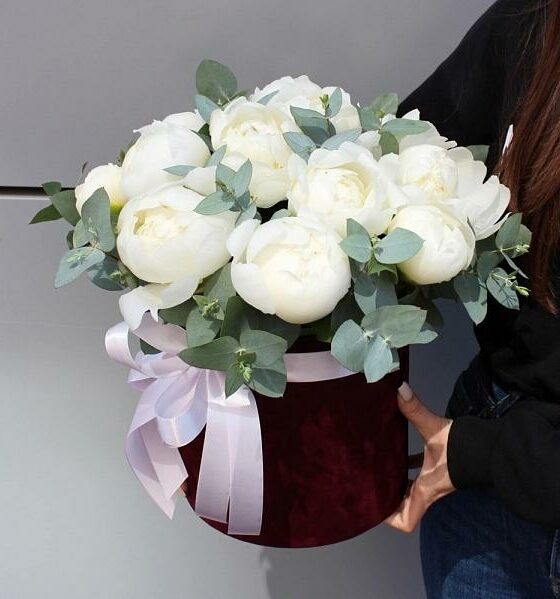 белые пионы в коробке