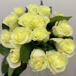 15 белых роз эквадор