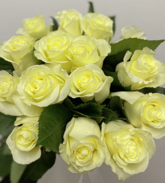 15 белых роз эквадор