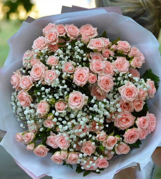 кустовая роза с гипсофилой