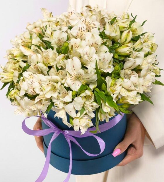 альстромерия в коробке