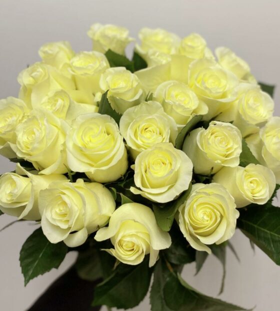 25 белых роз эквадор