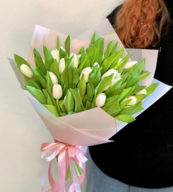 25 белых тюльпанов