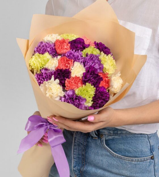 разноцветные диантусы