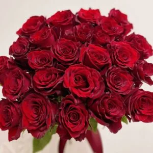 25 красных роз эквадор